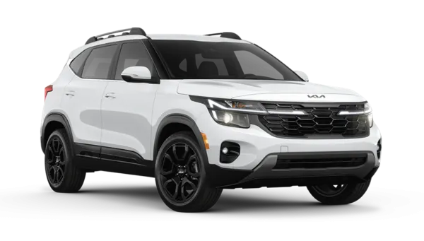 47896 kia seltos diecast models intro